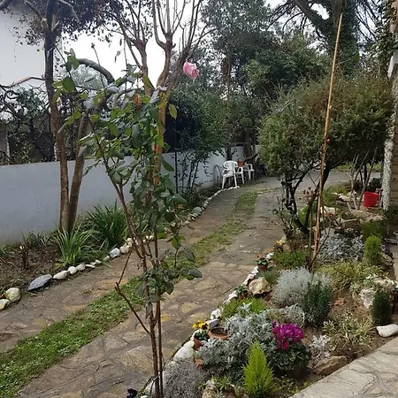 住宿加早餐酒店 Gioia