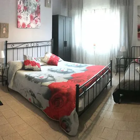 Gioia 3*