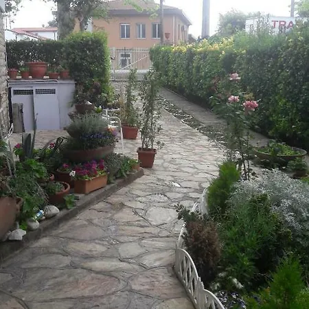 Gioia