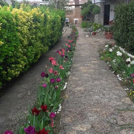 Gioia Bed & Breakfast Pisa